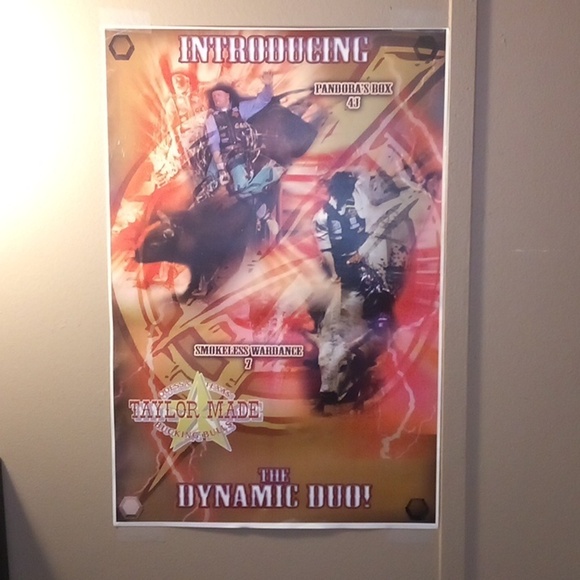 Other - NWOT - Introducing The Dynamic Duo Rodeo Poster